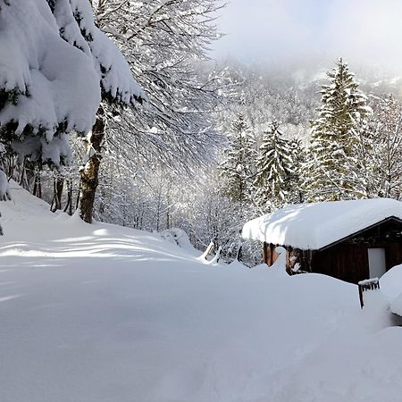 Ferienhaus Baerschwendi Lungern Buitenkant foto