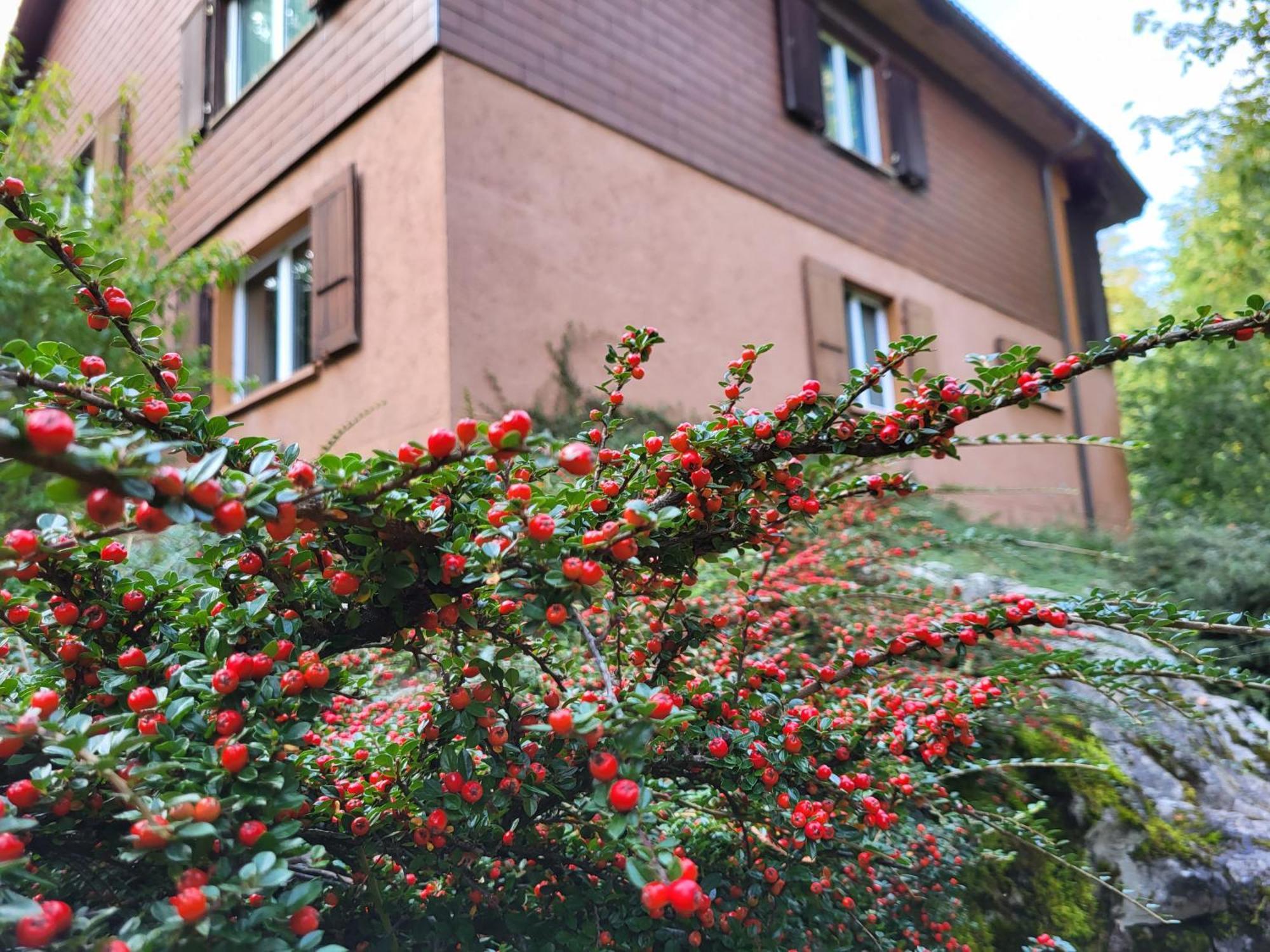 Ferienhaus Baerschwendi Lungern Buitenkant foto