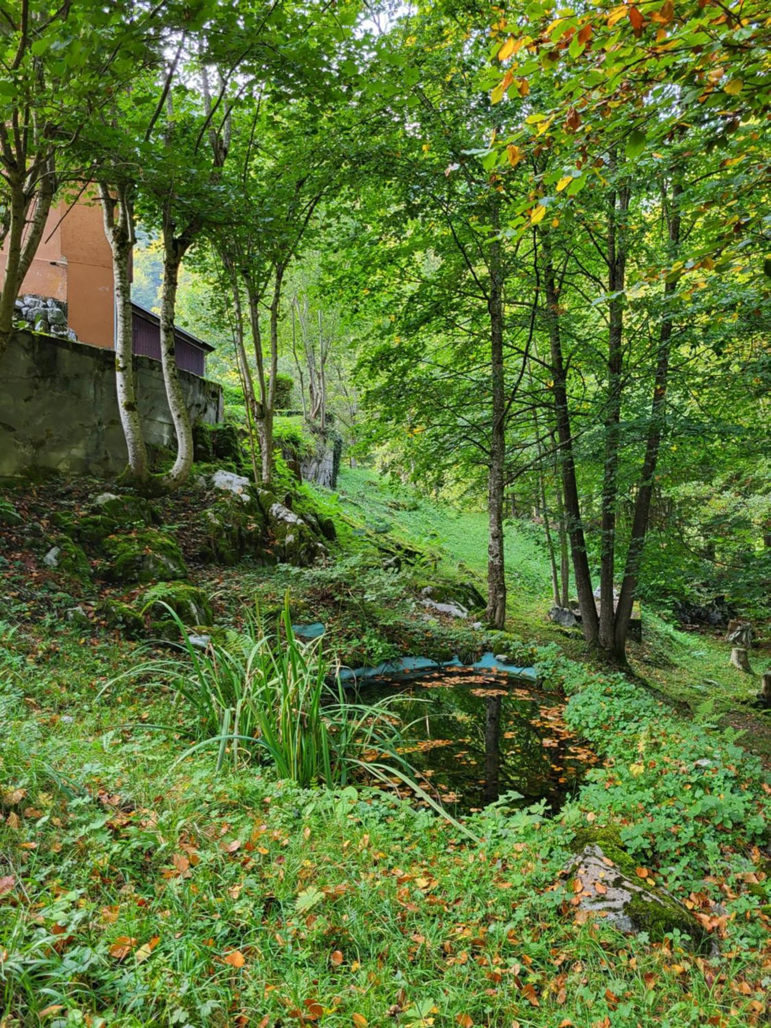 Ferienhaus Baerschwendi Lungern Buitenkant foto