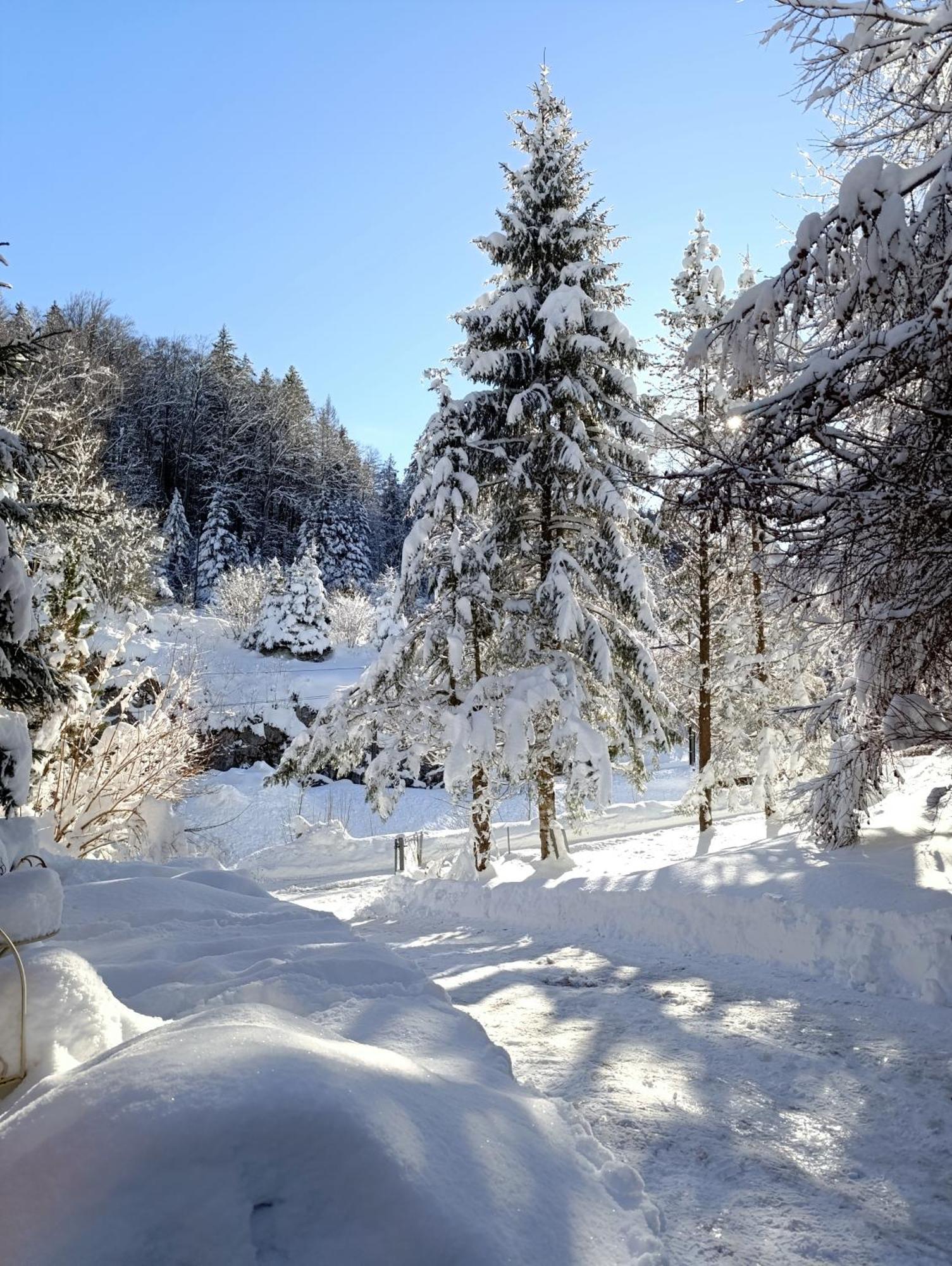 Ferienhaus Baerschwendi Lungern Buitenkant foto