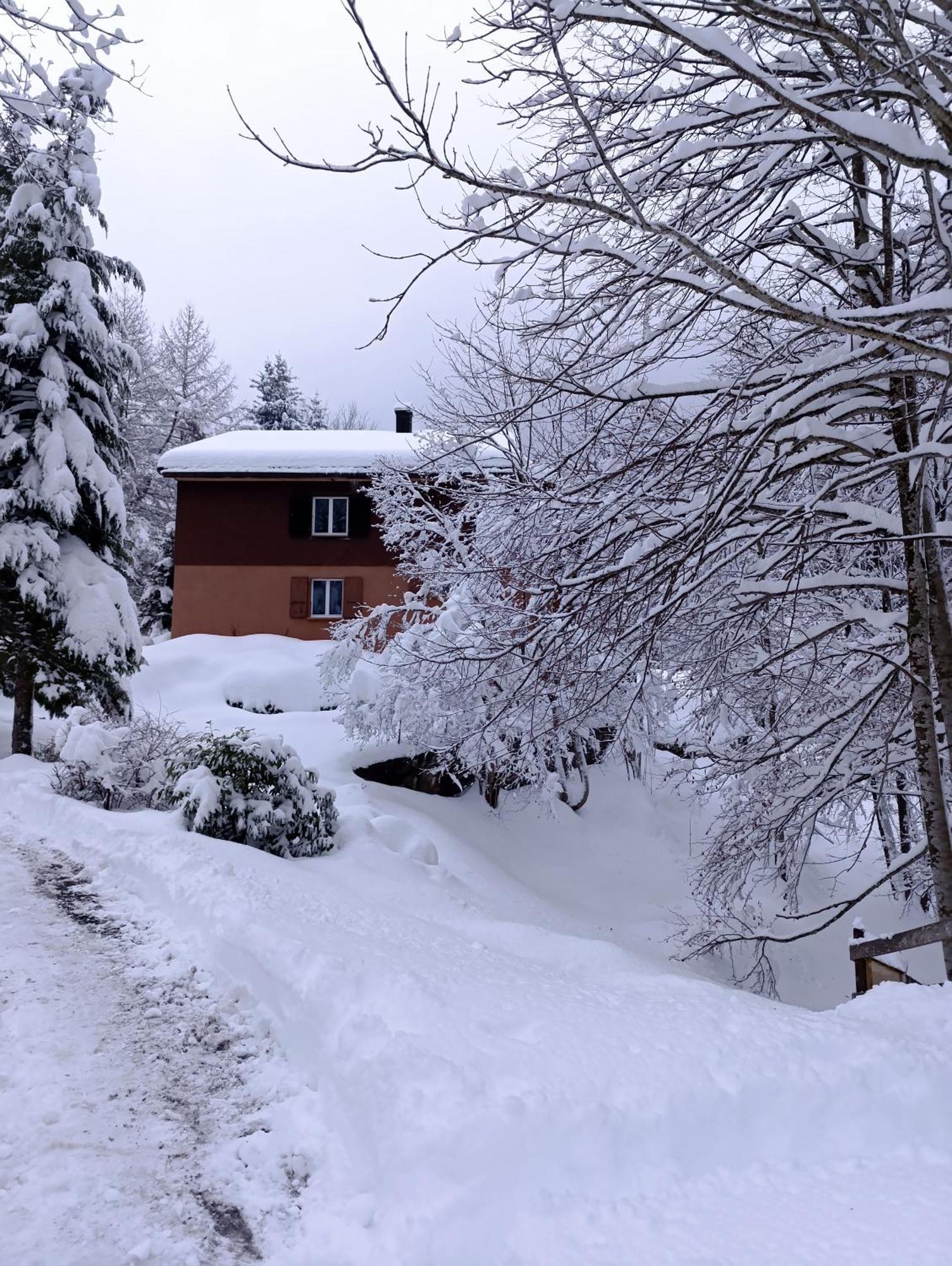 Ferienhaus Baerschwendi Lungern Buitenkant foto